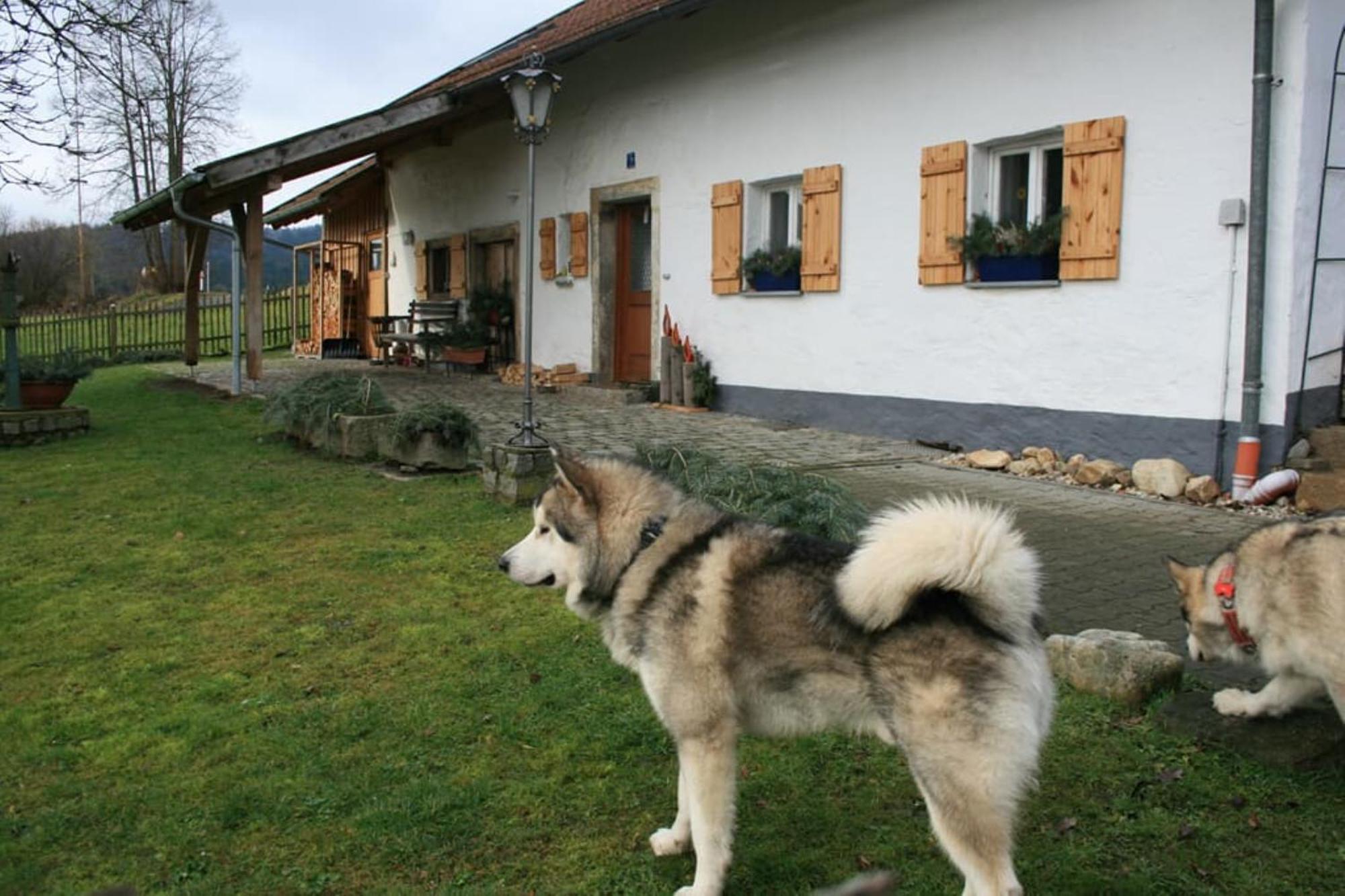 Ferienhaus Winter Blaibach Kültér fotó