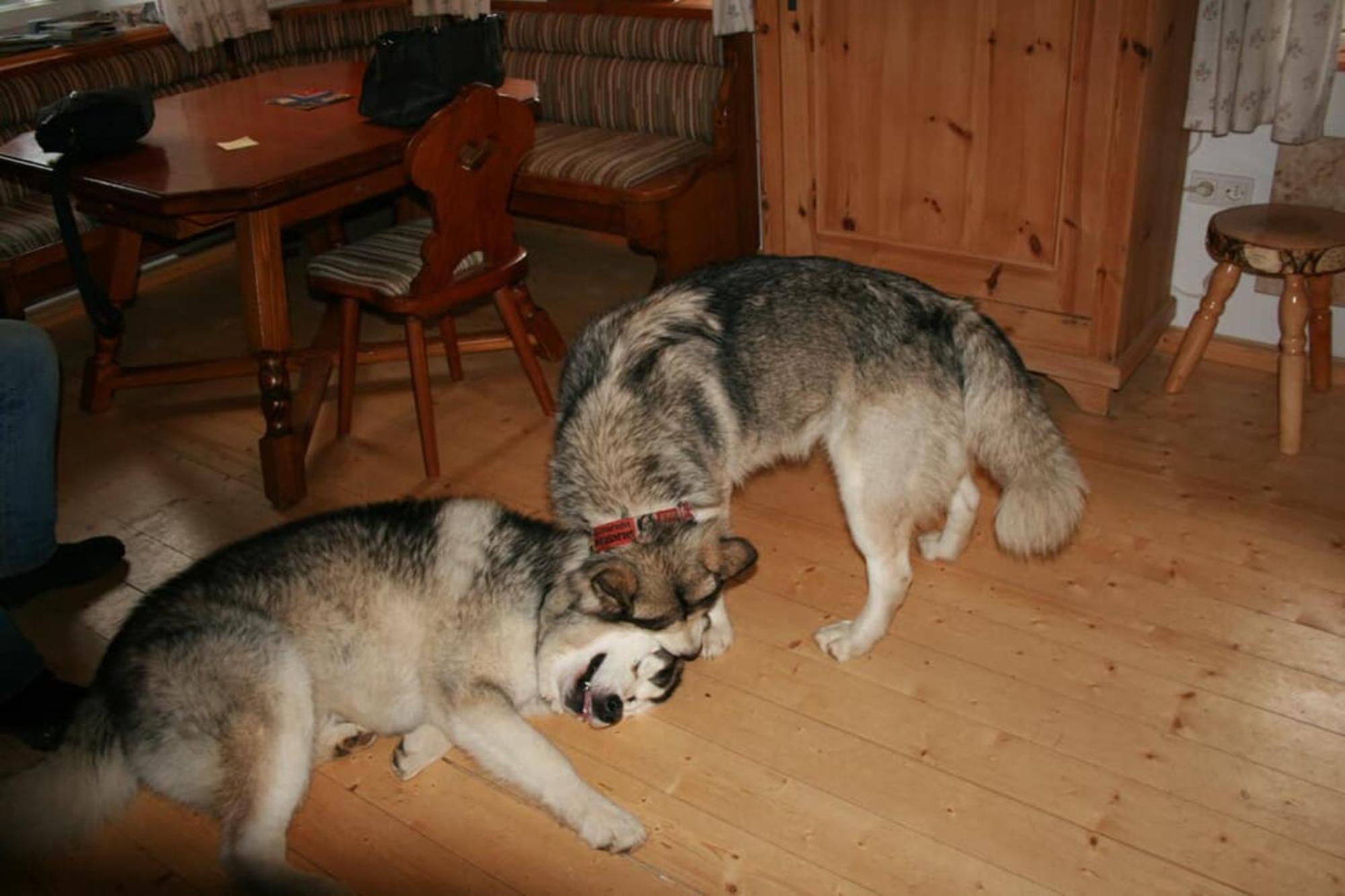 Ferienhaus Winter Blaibach Kültér fotó
